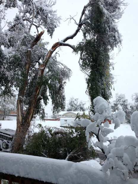 Winter Storm Atlas